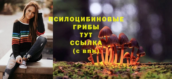 прущая мука Верхний Тагил